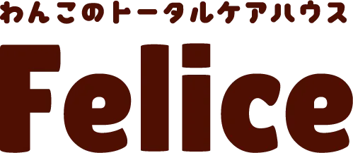 ポメラニアンの魅力と特徴